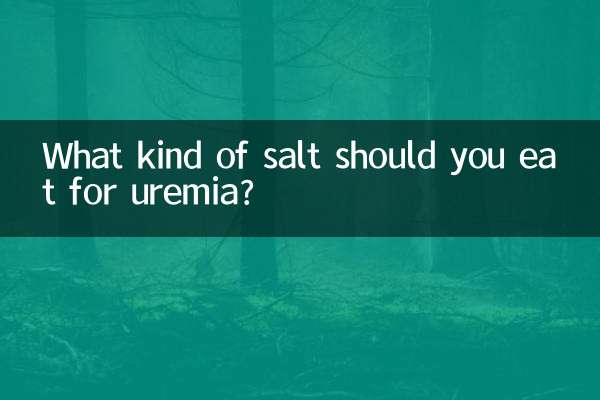 Welche Art von Salz sollte man bei Urämie essen?