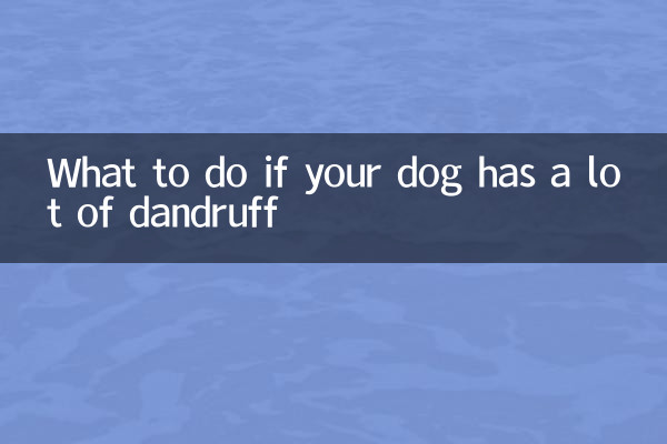 Cosa fare se il vostro cane ha molta forfora