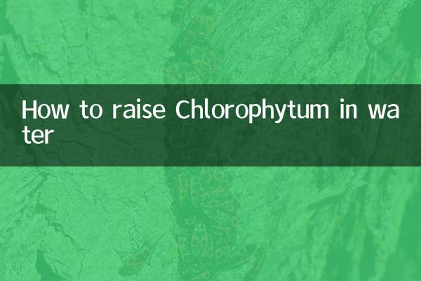 Come allevare il Chlorophytum in acqua
