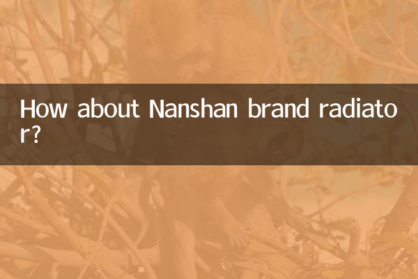 نانشان برانڈ ریڈی ایٹر کے بارے میں کیا خیال ہے؟