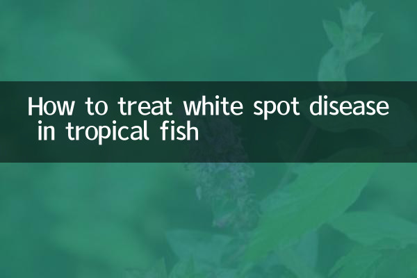 اشنکٹبندیی مچھلی میں سفید اسپاٹ بیماری کا علاج کیسے کریں