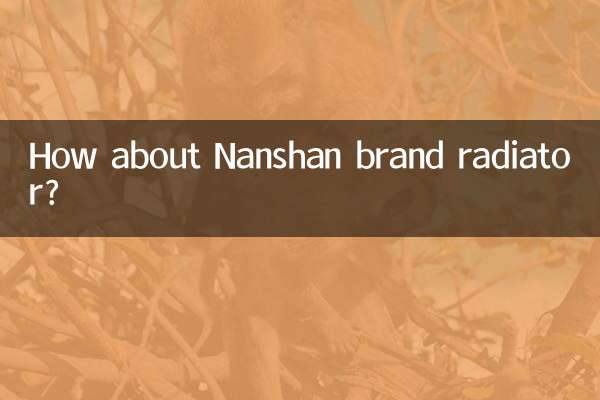 Nanshanブランドのラジエーターはどうですか？