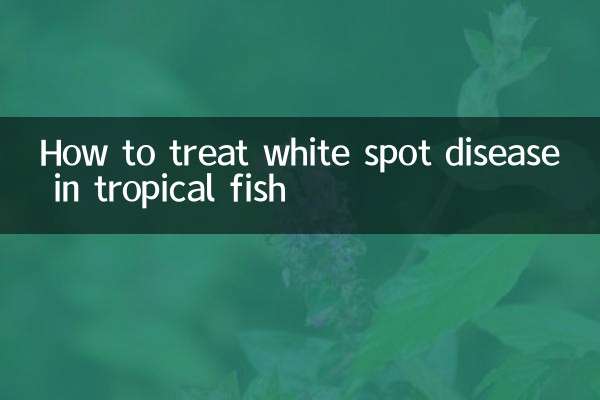 熱帯魚の白点病の治療方法