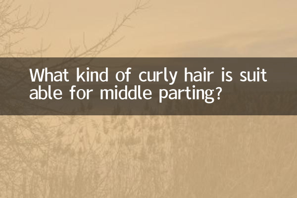 What kind of curly hair is suitable for middle parting?