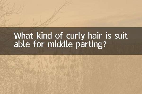 What kind of curly hair is suitable for middle parting?