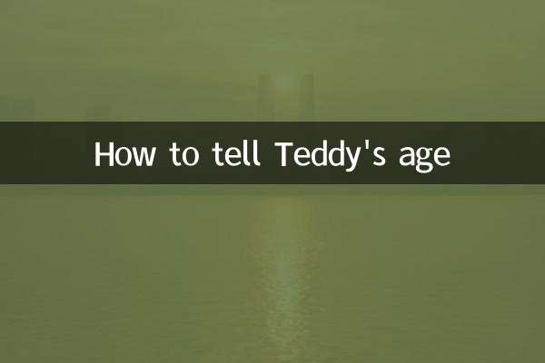 Wie erkennt man Teddys Alter?