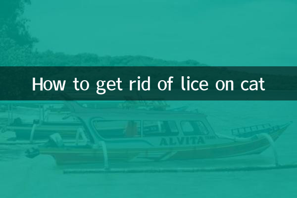 كيفية التخلص من القمل على القطط