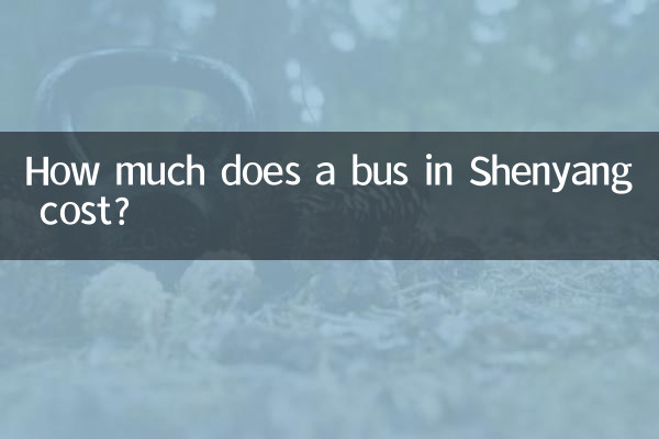 शेनयांग में बस की लागत कितनी है?