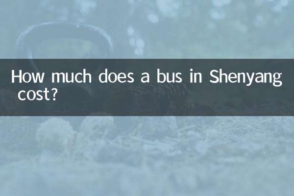 शेनयांग में बस की लागत कितनी है?