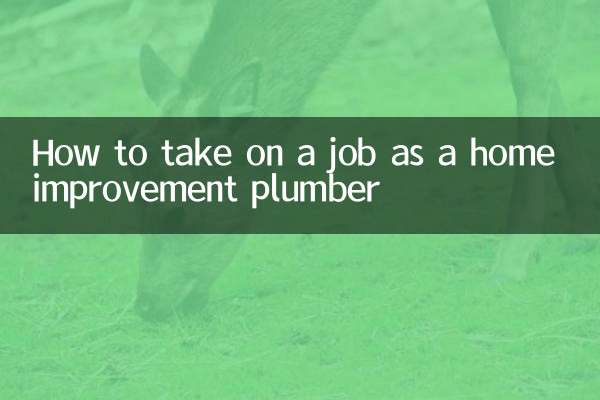 주택 개조 배관공으로 일하는 방법