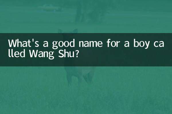王叔という男の子にぴったりの名前は何ですか?