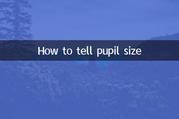 كيفية معرفة حجم التلميذ