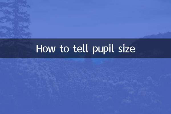 كيفية معرفة حجم التلميذ