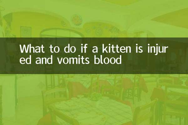O que fazer se um gatinho se machucar e vomitar sangue