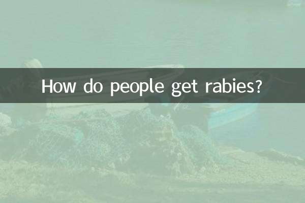 Como as pessoas contraem raiva?