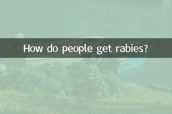 Como as pessoas contraem raiva?