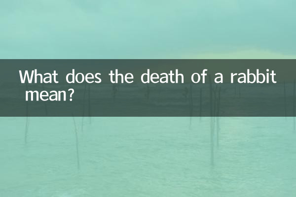 مرگ خرگوش یعنی چی؟