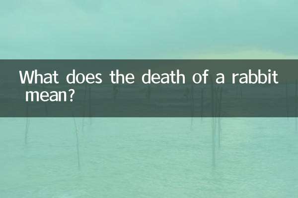 مرگ خرگوش یعنی چی؟