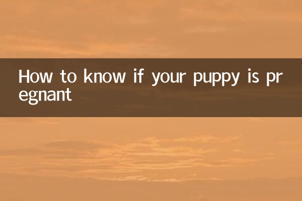 So erkennen Sie, ob Ihr Welpe trächtig ist