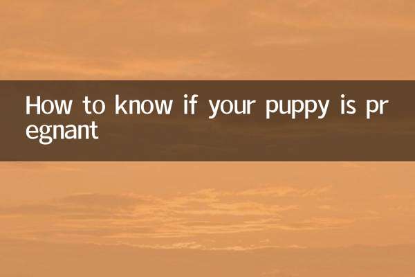 So erkennen Sie, ob Ihr Welpe trächtig ist