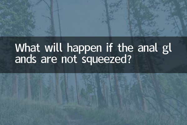 Was passiert, wenn die Analdrüsen nicht gequetscht werden?