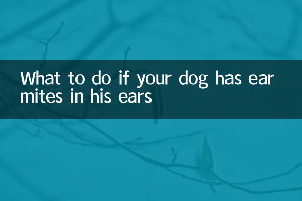আপনার কুকুরের কানে কানের মাইট থাকলে কি করবেন