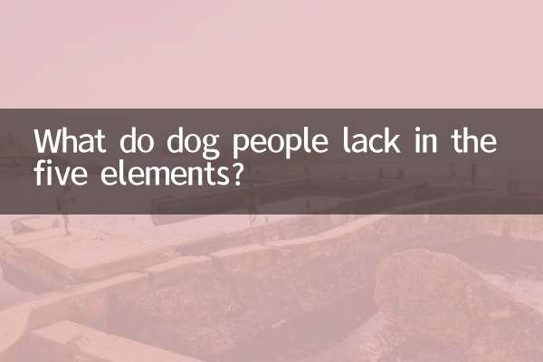 Was fehlt Hundemenschen an den fünf Elementen?