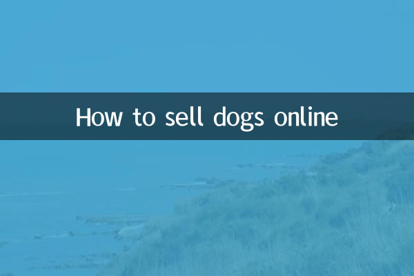So verkaufen Sie Hunde online