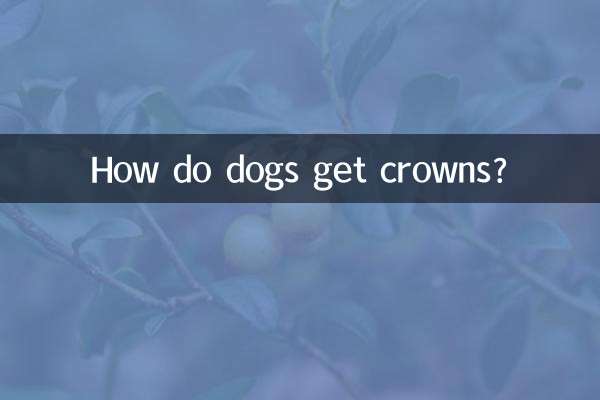 狗狗冠状怎么来的