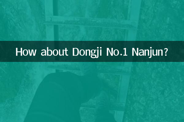 ¿Qué tal Dongji No.1 Nanjun?