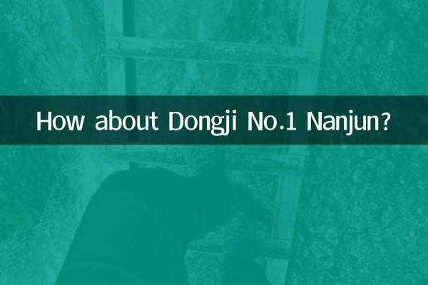 ¿Qué tal Dongji No.1 Nanjun?
