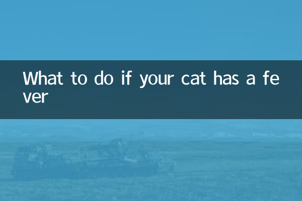 Cosa fare se il tuo gatto ha la febbre?