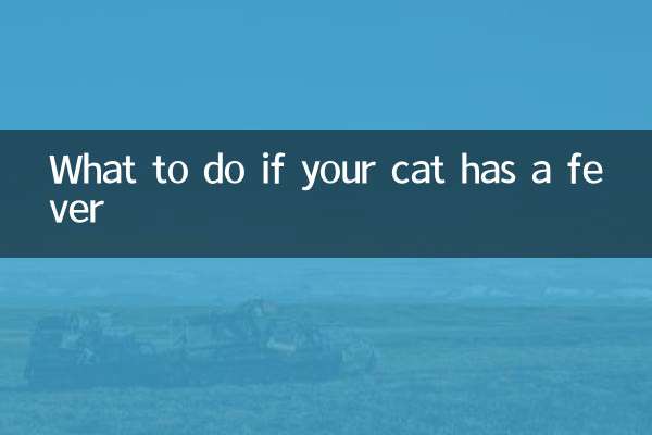 猫が熱を出した場合の対処法
