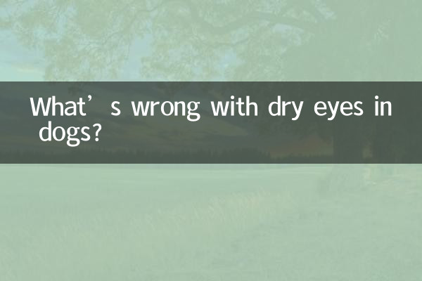 Was ist falsch an trockenen Augen bei Hunden?