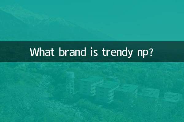 트렌디한 np는 어떤 브랜드인가요?