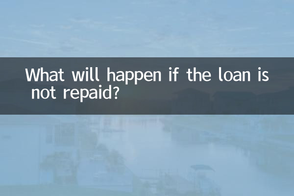 What will happen if the loan is not repaid?
