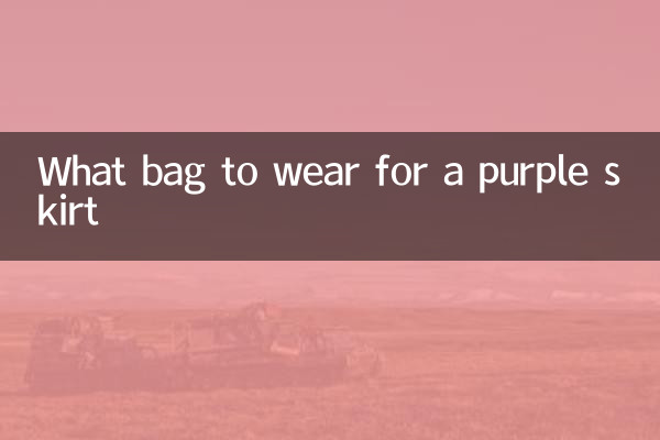 ¿Qué bolsa usar para una falda morada?