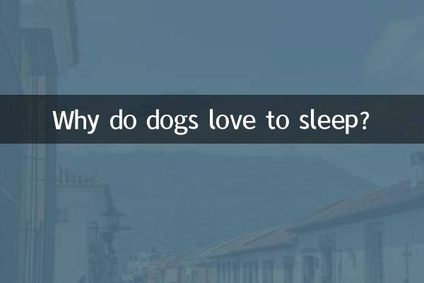 Pourquoi les chiens aiment-ils dormir ?