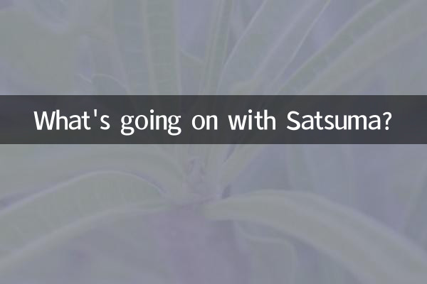 What's going on with Satsuma?