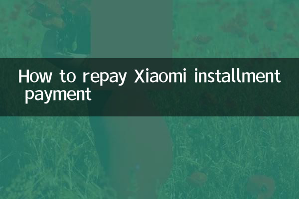 How to repay Xiaomi installment payment