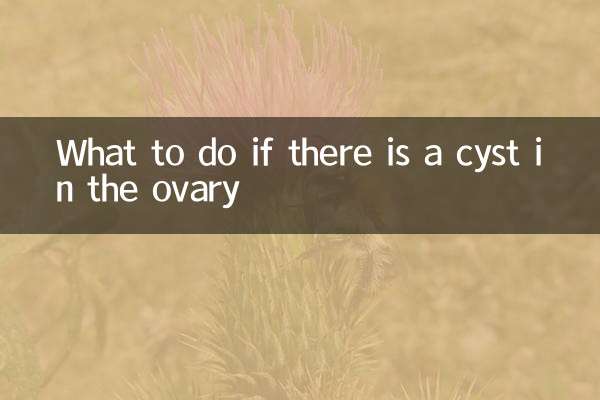 Qué hacer si hay un quiste en el ovario.
