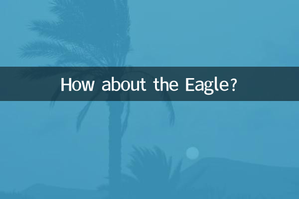 독수리는 어떻습니까?
