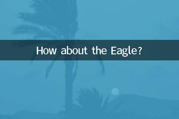 독수리는 어떻습니까?