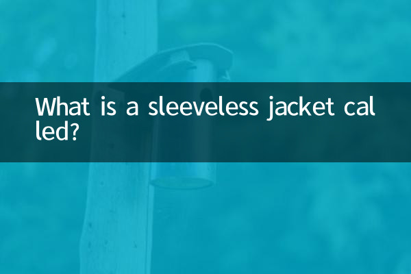 ما هو اسم سترة بلا أكمام؟