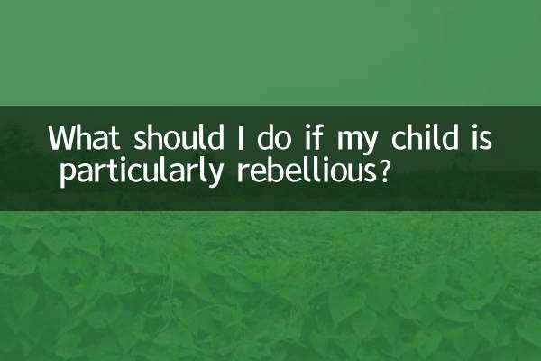 O que devo fazer se meu filho for particularmente rebelde?