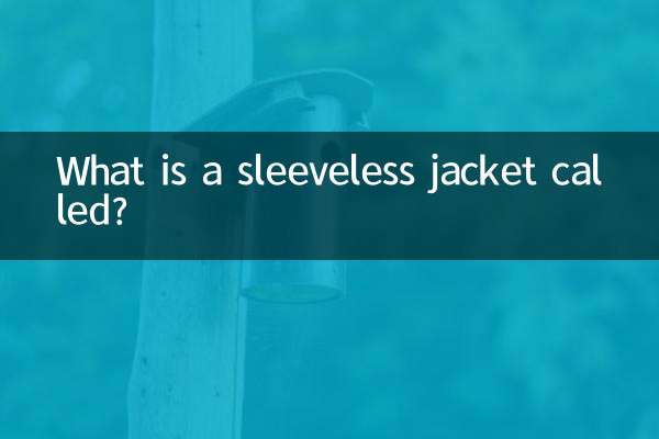 Come si chiama una giacca senza maniche?