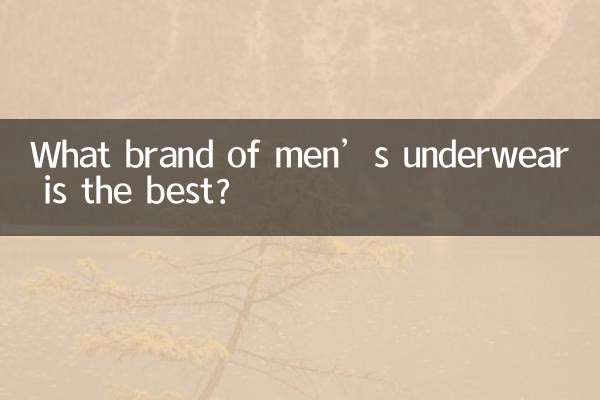 Welche Marke für Herrenunterwäsche ist die beste?
