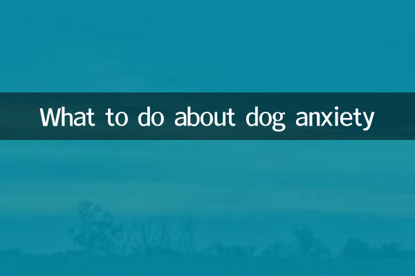 What to do about dog anxiety