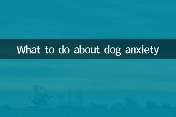 What to do about dog anxiety