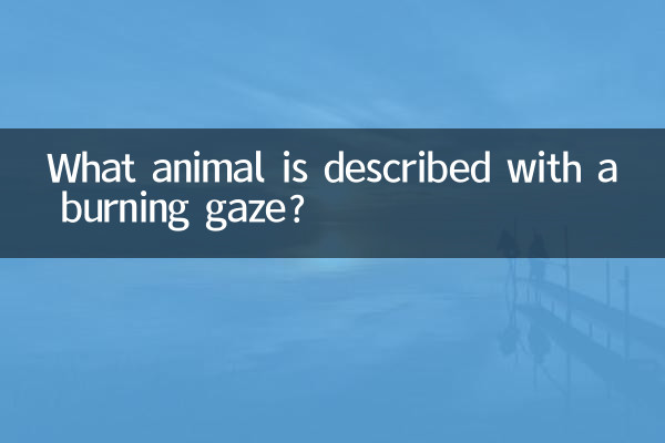 چه حیوانی با نگاهی سوزان توصیف می شود؟